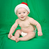 SmugMug > all-time keyword > dog > Emmett & Elvis + Mom&Dad photo