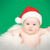 SmugMug > all-time keyword > dog > Emmett & Elvis + Mom&Dad photo
