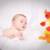 SmugMug > all-time keyword > dog > Emmett & Elvis + Mom&Dad photo
